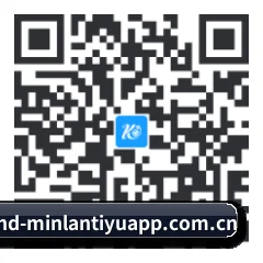 iOS 苹果生态原生版 二维码