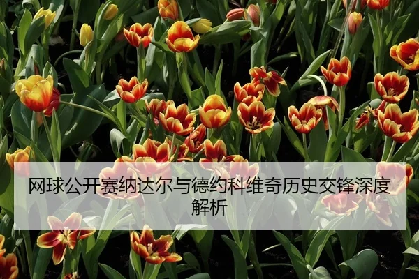网球公开赛纳达尔与德约科维奇历史交锋深度解析